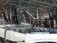 Imagine atasata: Armonia - 2016.01.11 - 06.jpg
